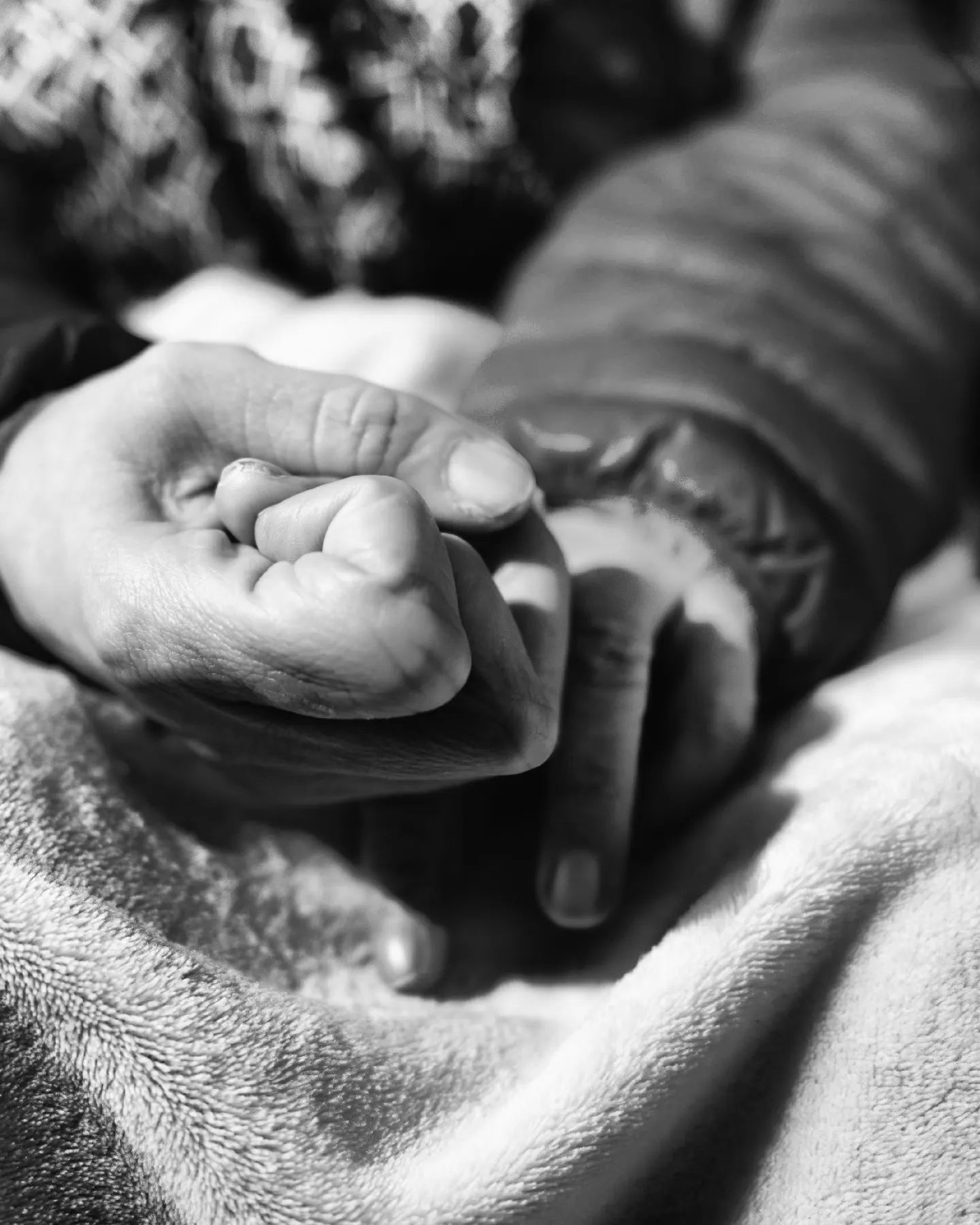 Ritratto di Sara, socia da diciotto anni, su fondo nero con la scritta io sono croce verde
